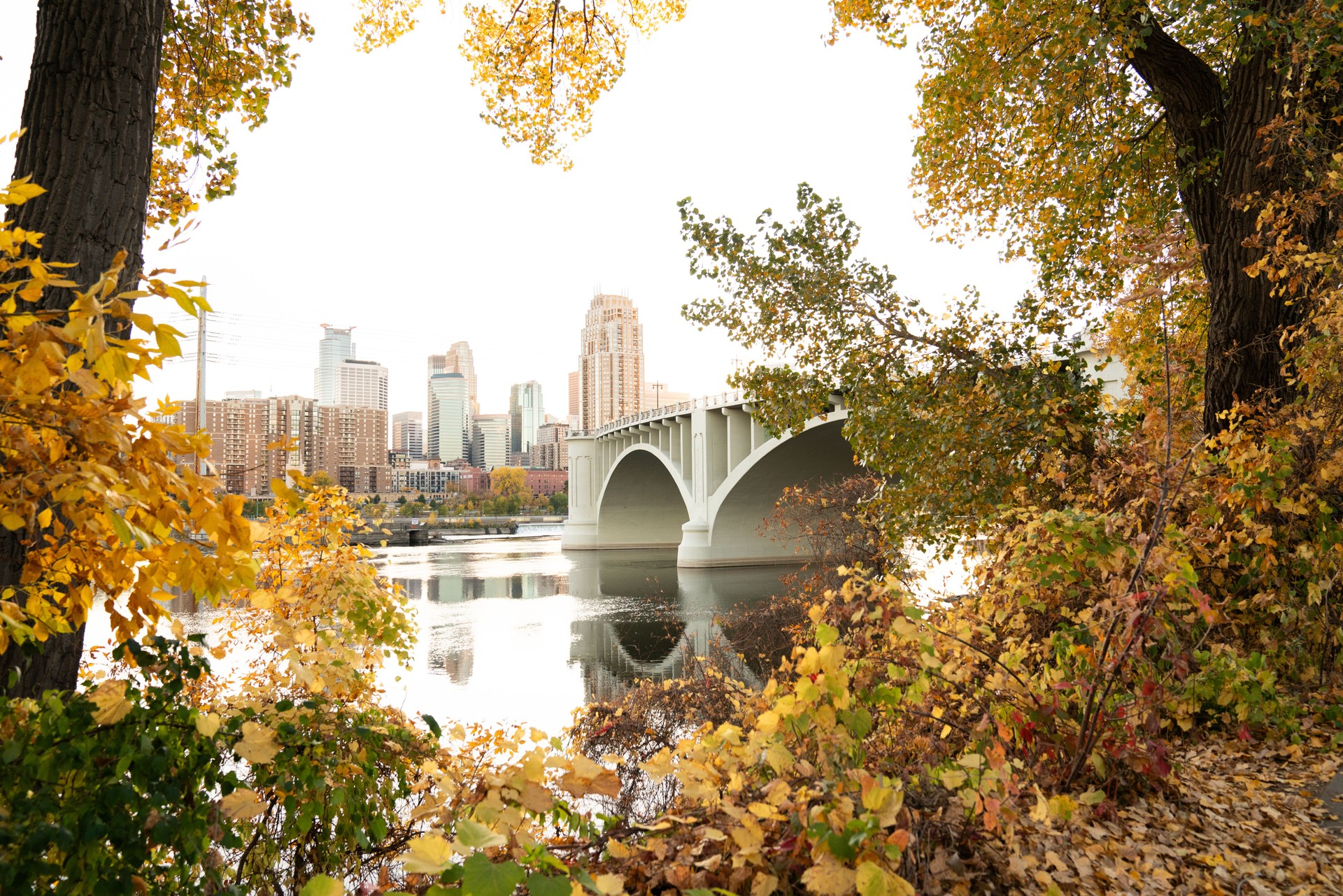 An Autumn Frame Around Minneapolis